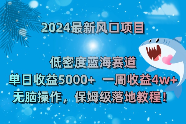 2024最新风口项目 低密度蓝海赛道，日收益5000 周收益4w  无脑操作，保... -1