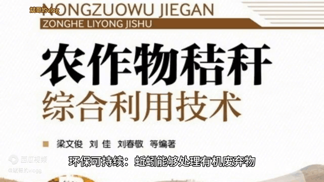 蚯蚓养殖每亩需要投资多少钱 蚯蚓养殖利润分析 蚯蚓养殖每亩需要投资多少钱 蚯蚓养殖利润分析