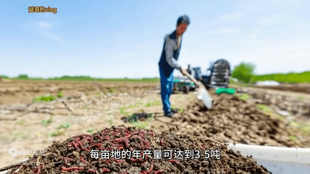 蚯蚓养殖每亩需要投资多少钱 蚯蚓养殖利润分析 蚯蚓养殖每亩需要投资多少钱 蚯蚓养殖利润分析