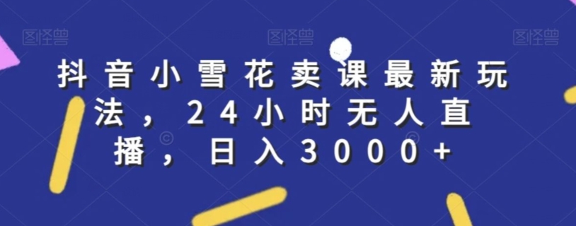 抖音小雪花卖课最新技术，24小时无人直播，日入3千【揭秘】-阿灿说钱