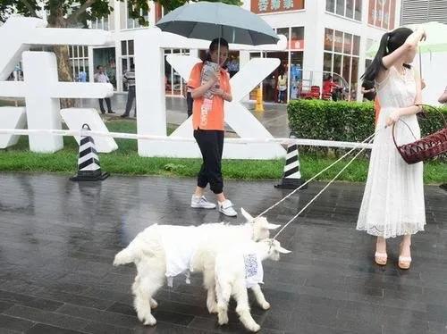 怎样能每天赚500元(普通人做什么可以日赚500) 怎样能每天赚500元(普通人做什么可以日赚500)