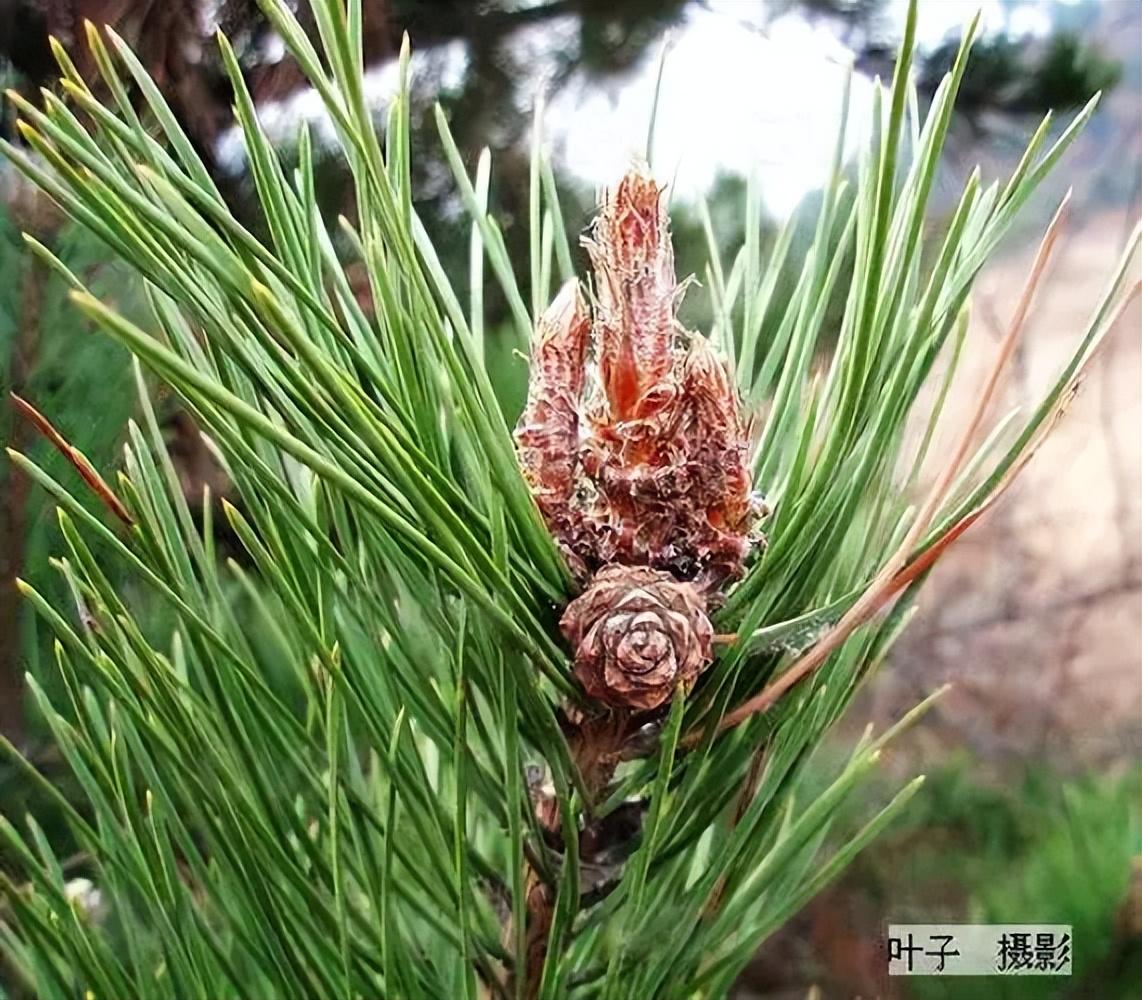 在家加工挣钱的项目:在家就能做,一年收入高达40多万! 在家加工挣钱的项目:在家就能做,一年收入高达40多万!
