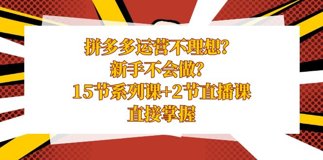 图片[1]-拼多多运营课程，新手不会做？15节系列课+2节直播课，直接掌握-阿灿说钱