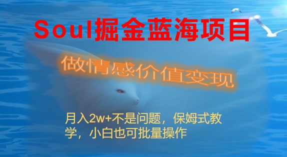 Soul掘金蓝海项目细分赛道，做情感价值变现，月盈利2w+不是问题-阿灿说钱