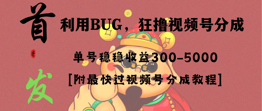 图片[1]-全网独家首发，视频号BUG，超短期项目，单号每日净收益300-5000！-阿灿说钱