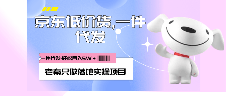 每天20分钟打理京东低价货,一件代发-轻松月入5W＋-阿灿说钱