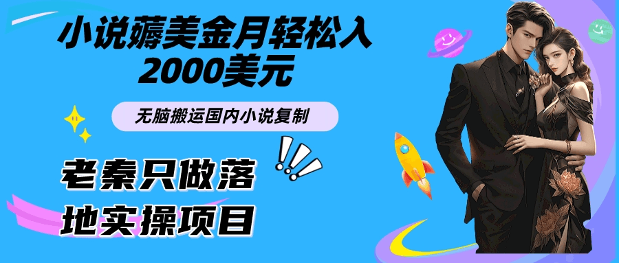 小说薅美金月轻松入2000美元项目、无脑搬运国内小说复制粘贴到国外、傻瓜式操作-阿灿说钱