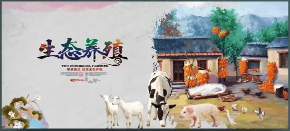 图片[1]-牧场养什么最挣钱 如果想办养殖场养什么比较赚钱？-阿灿说钱