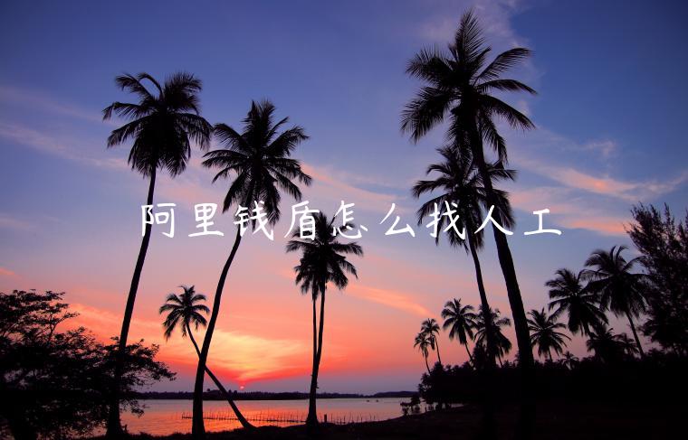 阿里钱盾24小时人工客服电话-阿里问答电商问答 -1