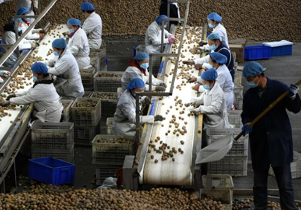 开小型加工厂项目 农村开的暴利的小型加工厂,投资三四万,回本快,不愁销路! 开小型加工厂项目 农村开的暴利的小型加工厂,投资三四万,回本快,不愁销路!