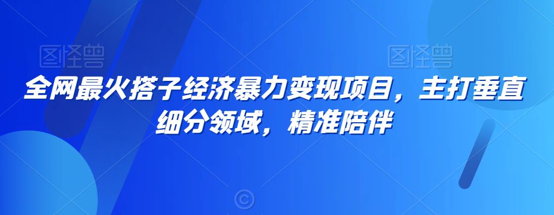 全网最火搭子经济暴力变现项目,主打垂直细分领域,精准陪伴【揭秘】 全网最火搭子经济暴力变现项目,主打垂直细分领域,精准陪伴【揭秘】