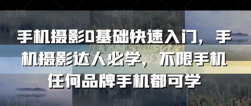 手机摄影0基础快速入门，手机摄影达人必学，不限手机任何品牌手机都可学-阿灿说钱