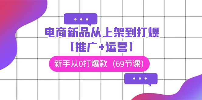 电商 新品选品：从上架到打爆【推广+运营】，新手从0打爆款（69节课）-阿灿说钱