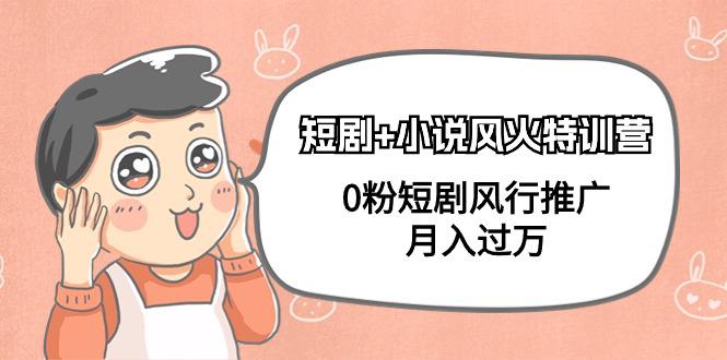 2024短剧和小说风火特训营，0粉短剧风行推广，月入过万（102节课）-阿灿说钱