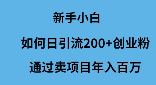 图片[1]-新手小白怎么样日引流200+创业粉通过卖项目年入百万-阿灿说钱