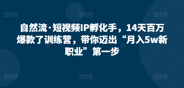 自然流·短视频IP孵化训练营，14天打造百万爆款，带你迈出“月入5W新职业”第一步-阿灿说钱
