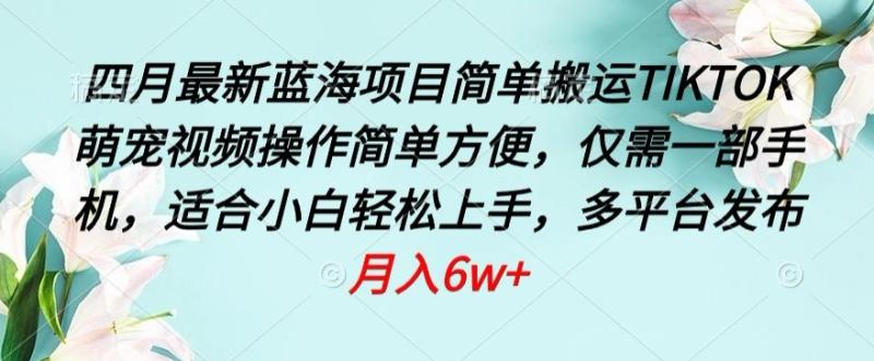 2024蓝海项目,简单搬运TIKTOK萌宠视频,操作简单方便,仅需一部手机【揭秘】 2024蓝海项目,简单搬运TIKTOK萌宠视频,操作简单方便,仅需一部手机【揭秘】
