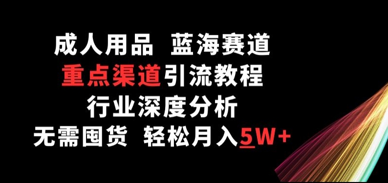 蓝海成人用品赛道，重点渠道引流教程，行业深度分析，无需囤货，轻松月入5W+【揭秘】-阿灿说钱