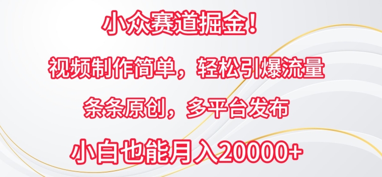 小众赛道掘金，原创视频制作简单，条条轻松引爆流量，多平台发布【揭秘】 -1
