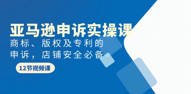 图片[1]-亚马逊-申诉实战课，商标、版权及专利的申诉，店铺安全必备-阿灿说钱
