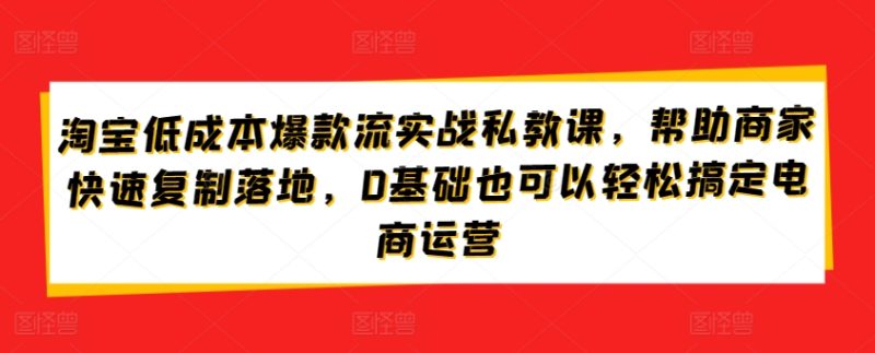 淘宝低成本爆款流实战攻略，低成本爆款打造与流量获取，0基础也可以轻松搞定电商运营-阿灿说钱