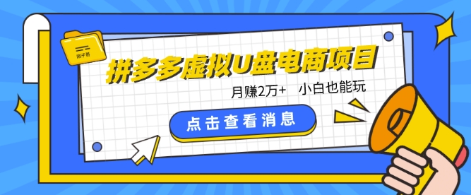 拼多多虚拟U盘电商:月赚2万+,红利项目,普通小白也能玩 -1 拼多多虚拟U盘电商:月赚2万+,红利项目,普通小白也能玩 -1