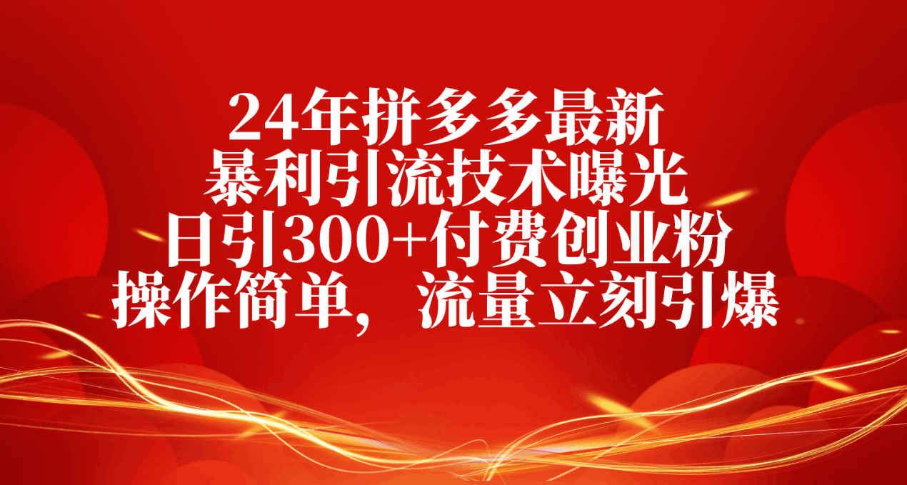 图片[1]-24年拼多多最新暴利引流技术曝光，日引300+付费创业粉，操作简单-阿灿说钱