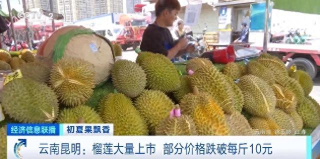 榴莲自由来了？昆明榴莲部分一斤跌破10元