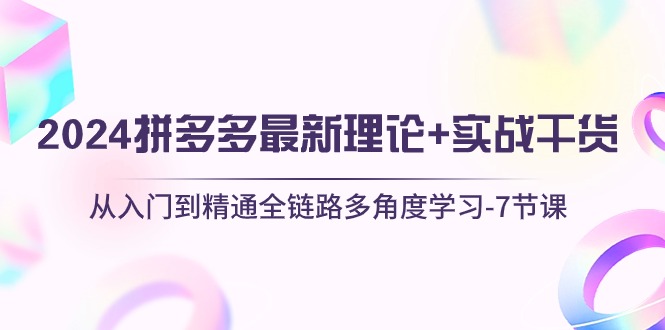 图片[1]-2024拼多多 最新理论+实战干货，从入门到精通全链路多角度学习-7节课-阿灿说钱