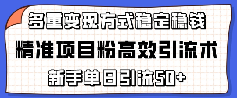 图片[1]-精准项目粉高效引流术，新手单日引流50+，多重变现方式稳定赚钱【揭秘】-阿灿说钱