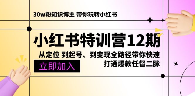 小红书特训营12期:从定位 到起号、到变现全路径带你快速打通爆款任督二脉-阿灿说钱