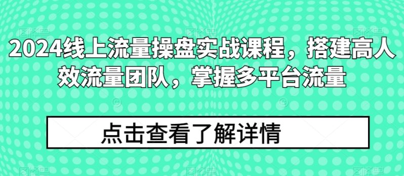 2024流量王者修炼手册：打造高效流量团队，解锁多平台流量秘籍-阿灿说钱