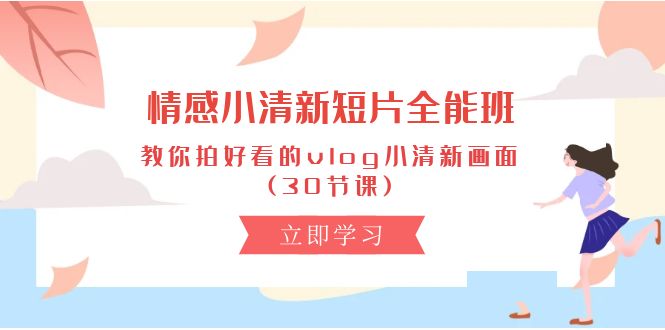 图片[1]-情感 小清新短片-全能班，教你拍好看的vlog小清新画面 (30节课)-阿灿说钱