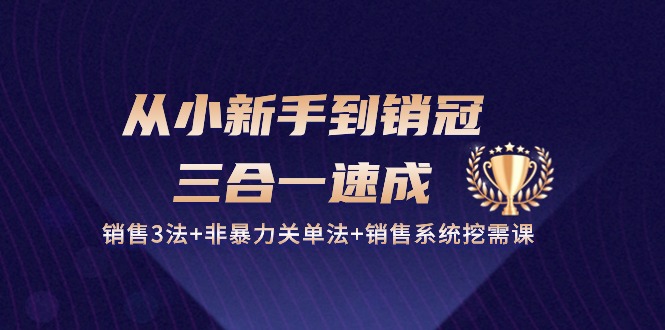 图片[1]-从小新手到销冠 三合一速成：销售3法+非暴力关单法+销售系统挖需课 (27节)-阿灿说钱