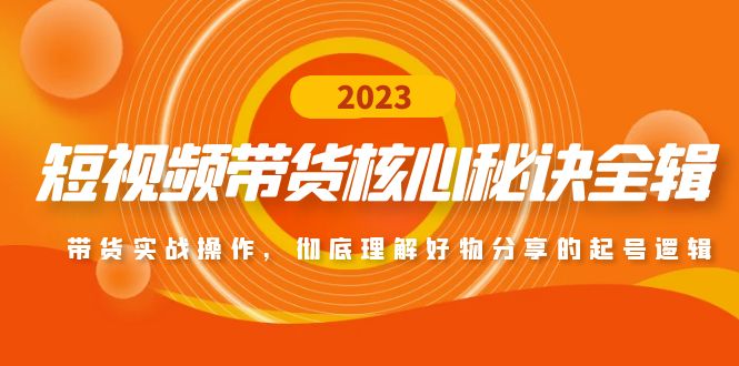 图片[1]-短视频带货秘籍大公开：实战攻略+选品秘诀，助你成为带货达人-阿灿说钱
