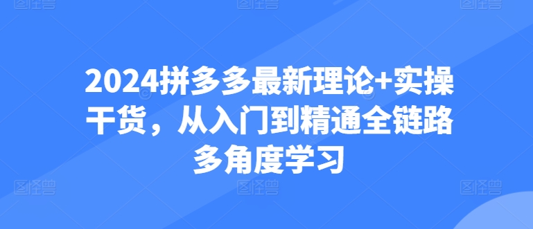 2024拼多多进阶宝典：从防比价到自然流，全攻略实操教学-阿灿说钱