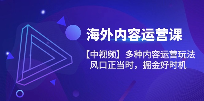 图片[1]-海外内容 运营课【中视频】多种内容运营玩法 风口正当时 掘金好时机-101节-阿灿说钱
