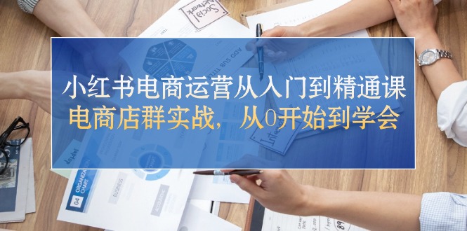 小红书电商运营从入门到精通课,电商店群实战,从0开始到学会-阿灿说钱