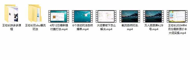 图片[3]-拼多多实战课：万人团玩法/截流自然流/最新强付费打法/最新原价卡大促实操/大促被下架怎么解决-阿灿说钱