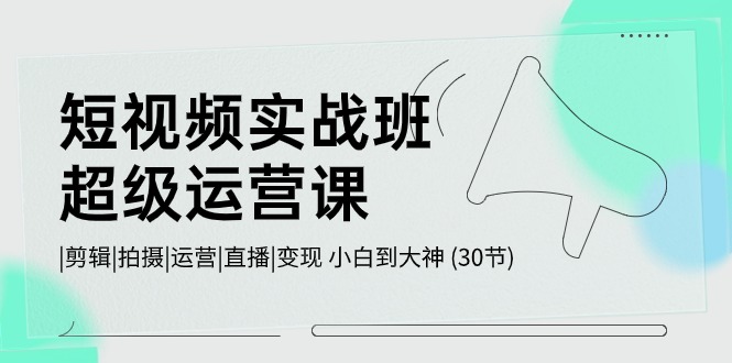 短视频实战班-超级运营课，|剪辑|拍摄|运营|直播|变现 小白到大神 (30节)-阿灿说钱