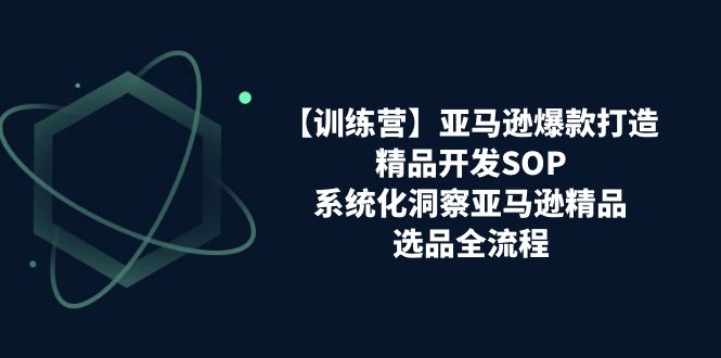 【训练营】亚马逊爆款打造之精品开发SOP，系统化洞察亚马逊精品选品全流程-阿灿说钱