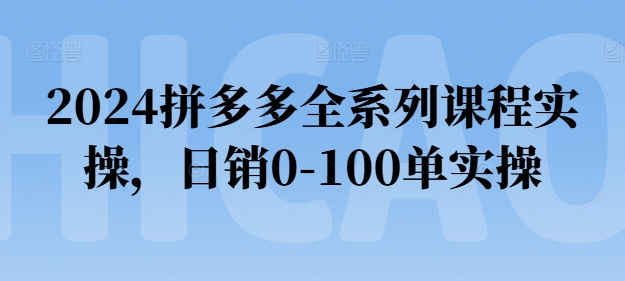 2024拼多多全系列课程实操，日销0-100单实操【必看】-阿灿说钱