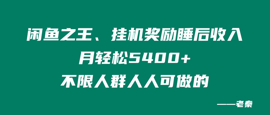 闲鱼之王，挂机奖励睡后收入，月轻松5400+，不限男女人人可做的-阿灿说钱