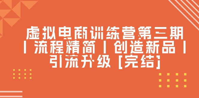 虚拟电商训练营第三期丨流程精简丨创造新品丨引流升级 [完结]-阿灿说钱