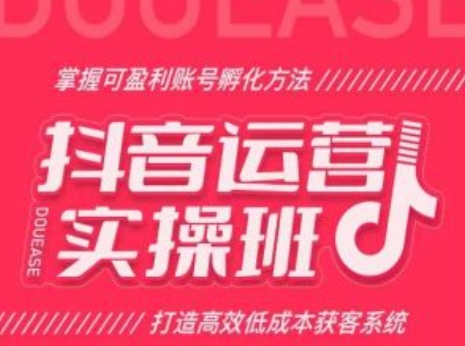 抖音运营实操班,掌握可盈利账号孵化方法,打造高效低成本获客系统 -1 抖音运营实操班,掌握可盈利账号孵化方法,打造高效低成本获客系统 -1