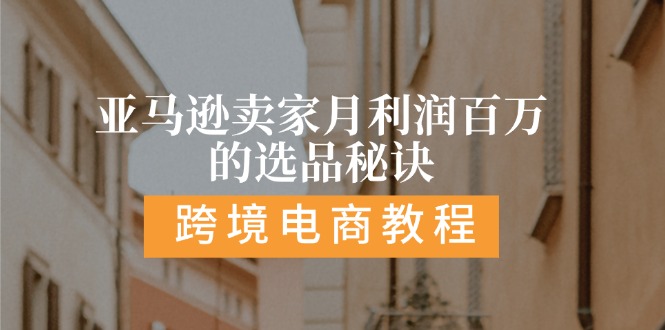 亚马逊卖家月利润百万的选品秘诀: 抓重点/高利润/大方向/大类目/选品...-阿灿说钱