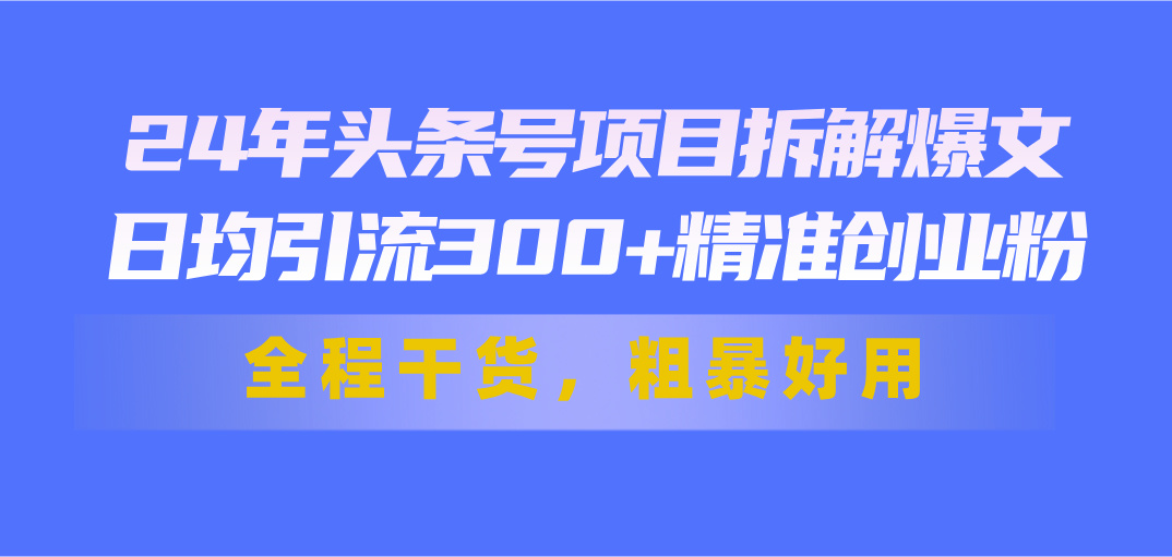 图片[1]-24年头条号项目拆解爆文，日均引流300+精准创业粉，全程干货，粗暴好用-阿灿说钱