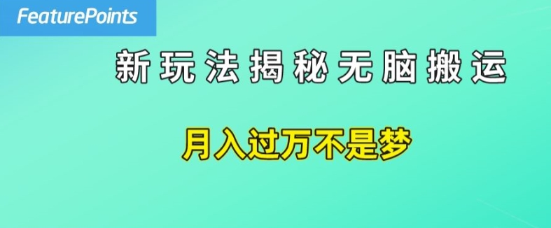 简单操作，每天50美元收入，搬运就是赚钱的秘诀【揭秘】 -1