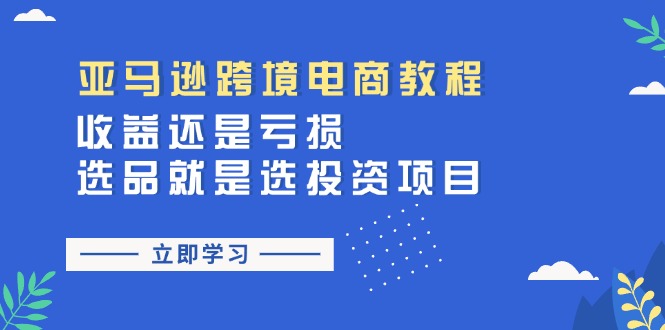 亚马逊跨境电商教程:收益还是亏损!选品就是选投资项目-阿灿说钱