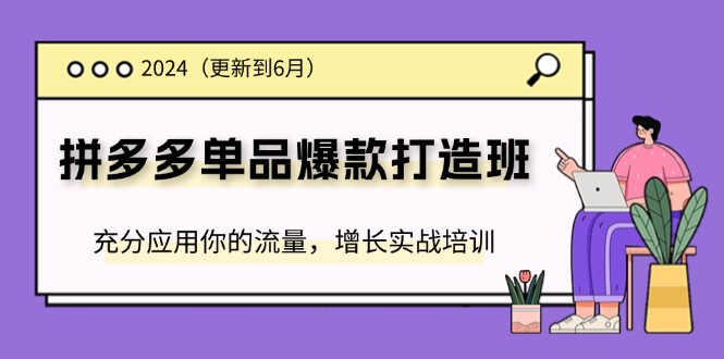 2024拼多多-单品爆款打造班(更新6月)，充分应用你的流量，增长实战培训-阿灿说钱